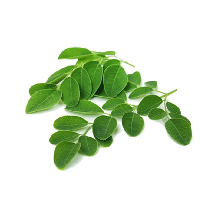 Normadex enthält Moringablätter – ein wirksames natürliches Heilmittel gegen Parasiten